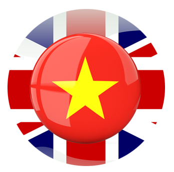 English/Vietnamese flag bilingual exercise